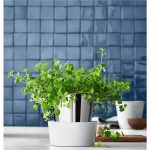 گلدان دبلیو ام اف مدل WMF Herb garden
